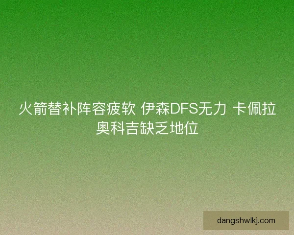 火箭替补阵容疲软 伊森DFS无力 卡佩拉奥科吉缺乏地位